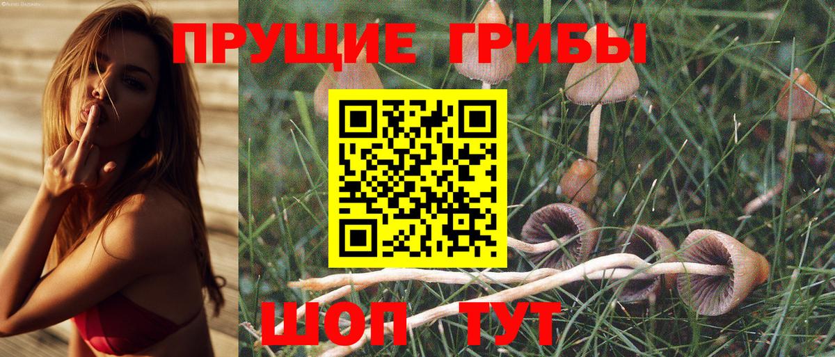 Галлюциногенные грибы MAGIC MUSHROOMS Истра